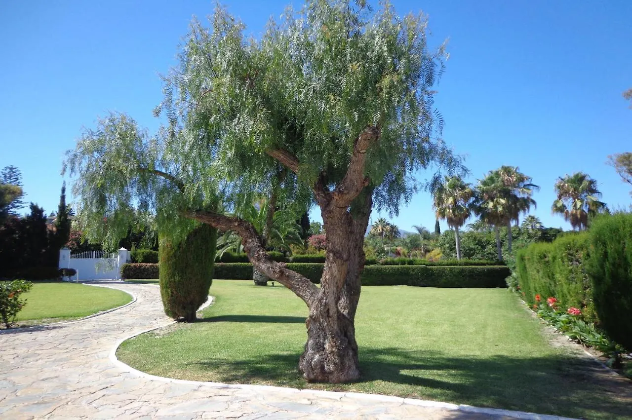 Amazing Beachfront Villa Heated Pool Marbella 0*,